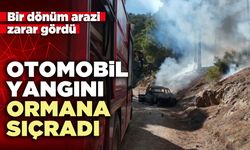 Otomobil yangını ormana sıçradı
