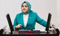 Sema Silkin Ün’den Şeniz Doğan’ın gözaltına alınmasına tepki