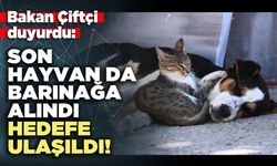 Bakan Çiftçi duyurdu: Son hayvan da barınağa alındı, hedefe ulaşıldı!