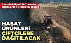 Hasat ürünleri çiftçilere dağıtılacak