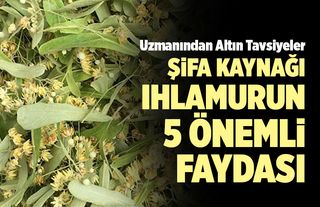 Ihlamurun Faydaları Nelerdir?  Şifa Kaynağı Ihlamurun 5 Önemli Faydası
