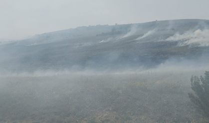 Çivril’de otluk alanda yangın çıktı