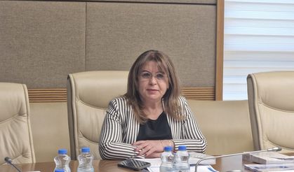 CHP'li Biçer Karaca "Denetim ve eşitlik nerede?" Diye sordu