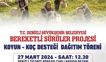 Denizli Büyükşehir 582 Üreticiye 1200 Adet Koyun-Koç Dağıtacak