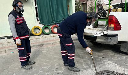 Pamukkale’de ilaçlama mesaisi tam gaz devam ediyor