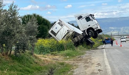Bağa giren tır şaha kalktı