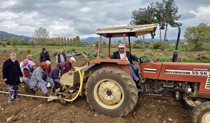 Pütün tütün üreticiyle tarlada buluştu
