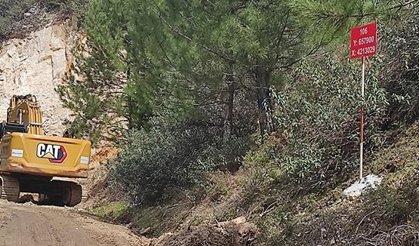 Sait Yalçın: "Maden için 724 ağaç kesilecek"