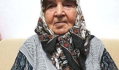 Asırlık Çınar 107 Yaşında Hayatını Kaybetti