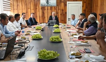 Üzüm üreticisinin talepleri Denizli'de masaya yatırıldı