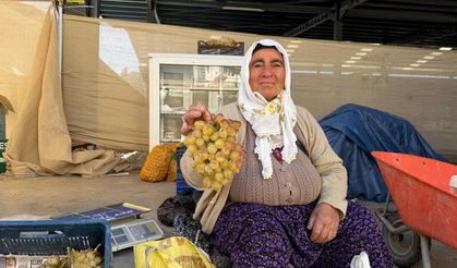 Çivril’in meşhur Koçak üzümü tezgâhlarda