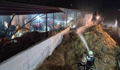 Pamukkale’de Besihanede Yangın