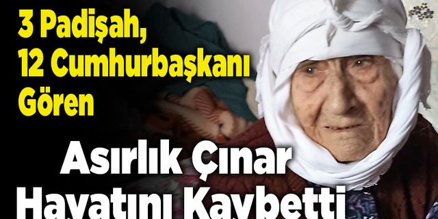 3 Padişah, 12 Cumhurbaşkanı Gören Asırlık Çınar Hayatını Kaybetti