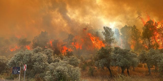 Milas'taki Orman Yangını Büyüyor