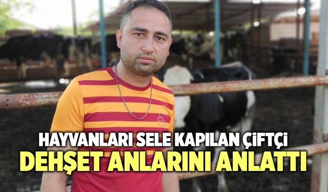 Sele Kapılan Hayvanlarını Gözyaşlarıyla Çeken Çiftçi Dehşet Anlarını Anlattı