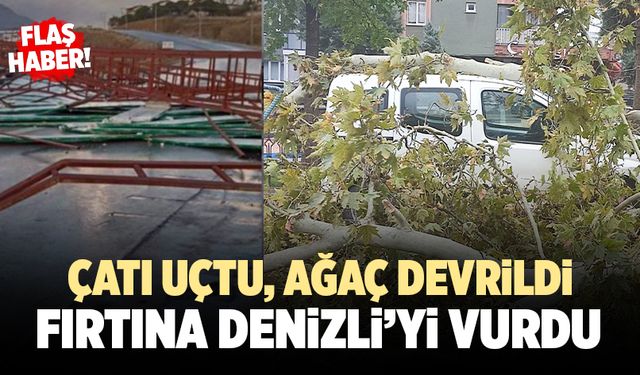 Fırtına Denizli’yi Vurdu; Çatı Uçtu, Ağaç Devrildi