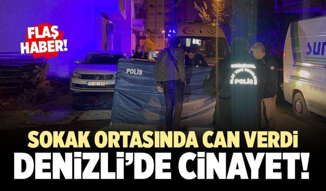 Göğsünden Bıçaklanan Genç Sokak Ortasında Can Verdi