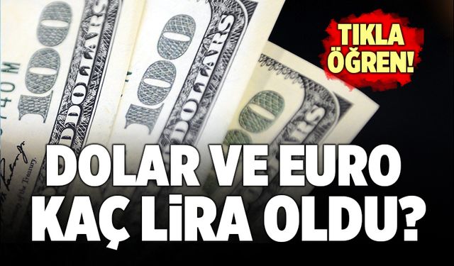Dolar ve Euro Ne Kadar Oldu?