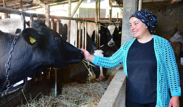 Engelli Ve Eski Hükümlü Hibe Desteği Başvuruları Başladı