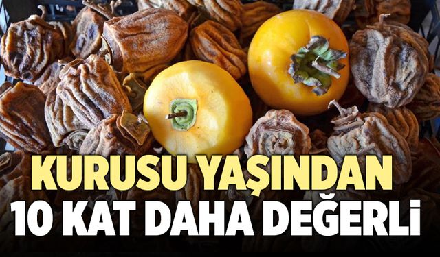 Cennet Hurmasının Kurusu Yaşından 10 Kat Daha Değerli