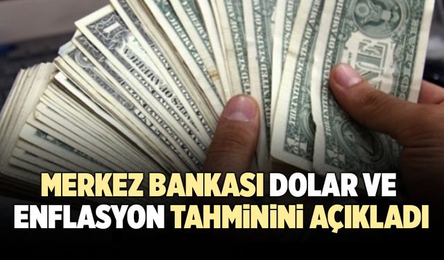 Merkez Bankası, Yıl Sonu Dolar Ve Enflasyon Tahminini Açıkladı