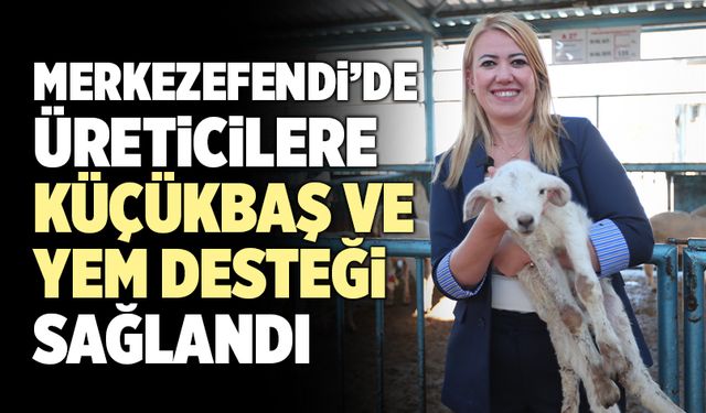 Merkezefendi’de Üreticilere Küçükbaş Ve Yem Desteği Sağlandı
