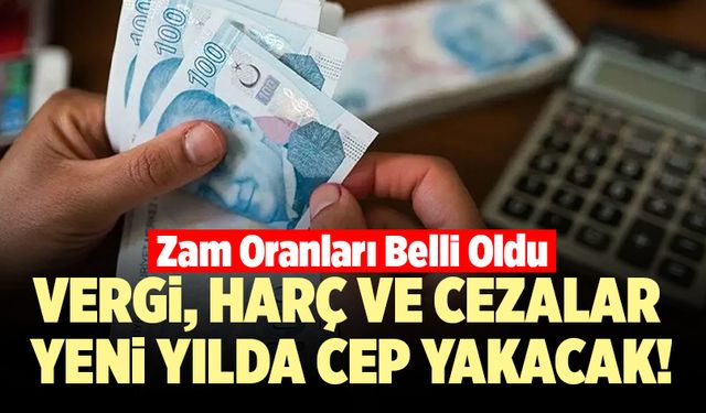 Son Dakika! Vergi, Harç Ve Cezalar Yeni Yılda Cep Yakacak