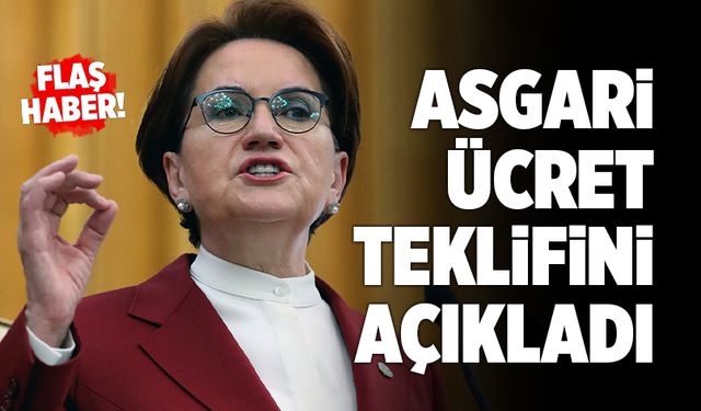 Meral Akşener Asgari Ücret Teklifini Açıkladı