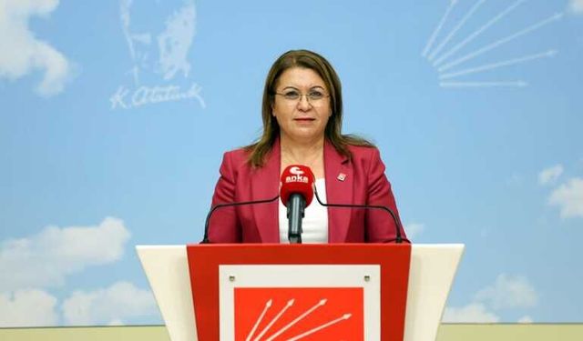 CHP'li Karaca'dan Venezuela'ya destek