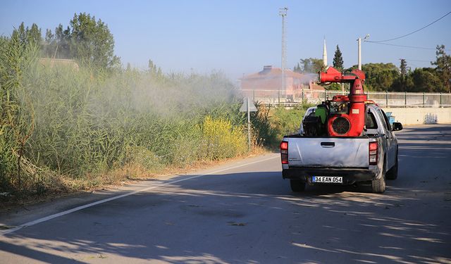 Pamukkale Belediyesi Sineklere Savaş Açtı