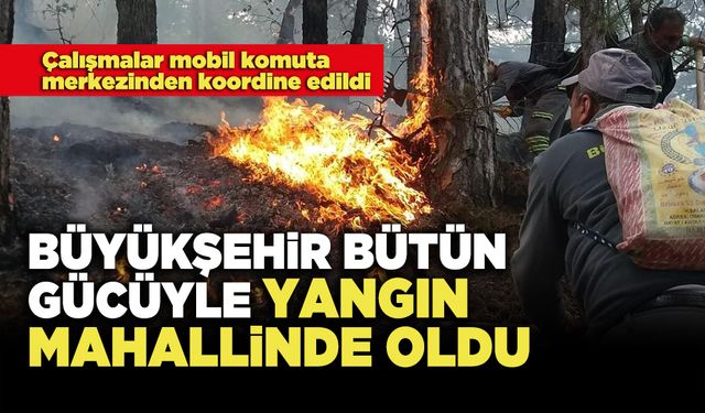 Büyükşehir Bütün Gücüyle Yangın Mahallinde Oldu