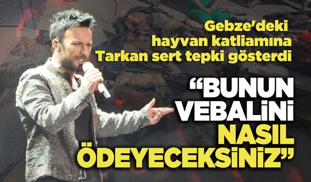 Tarkan: “Bunun Vebalini Nasıl Ödeyeceksiniz”