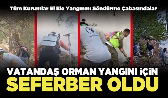 Vatandaş Orman Yangını İçin Seferber Oldu