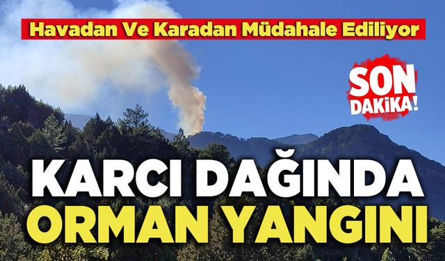 Karcı Dağında Orman Yangını