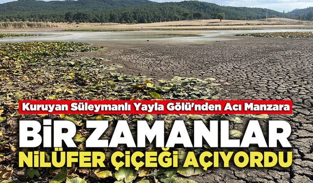 Bir Zamanlar Nilüfer Çiçeği Açıyordu