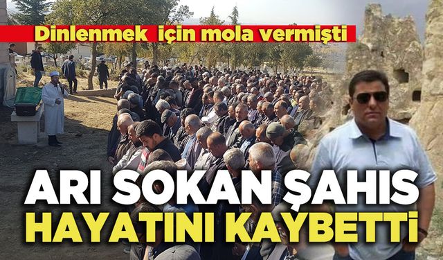 Arı Sokan Şahıs Hayatını Kaybetti