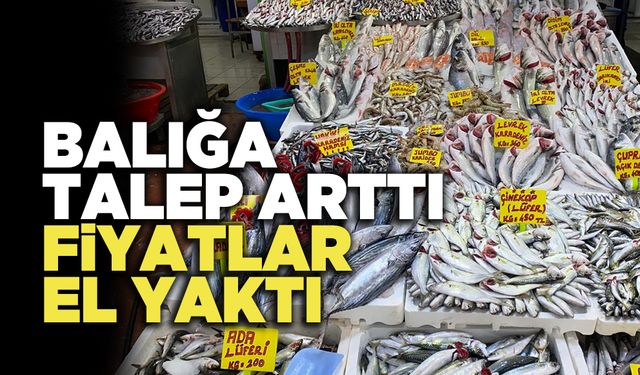 Balığa Talep Arttı Fiyatlar El Yaktı