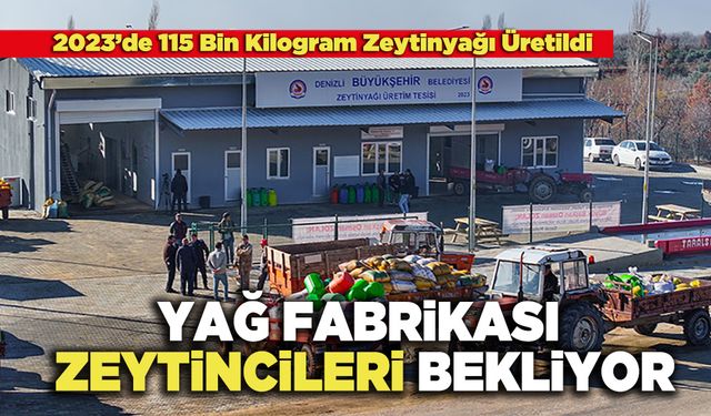 Yağ Fabrikası Zeytincileri Bekliyor