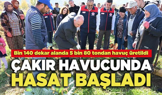 Çakır Havucunda Hasat Başladı