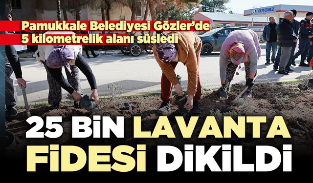 Pamukkale Belediyesi 25 bin lavanta fidesi dikildi