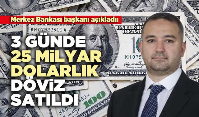 3 Günde 25 milyar dolarlık döviz satıldı