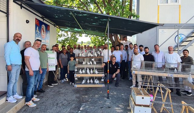 Denizli'de 12. Azman Güvercin Güzellik Yarışması Gerçekleşti