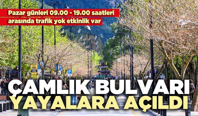 Çamlık Bulvarı yayalara açıldı