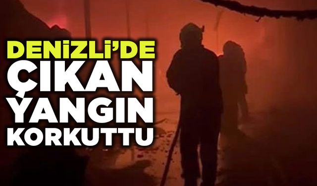 Denizli'de Çıkan Yangın Korkuttu