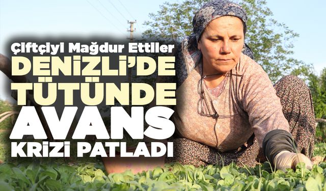 Denizli’de Tütünde Avans Krizi Patladı