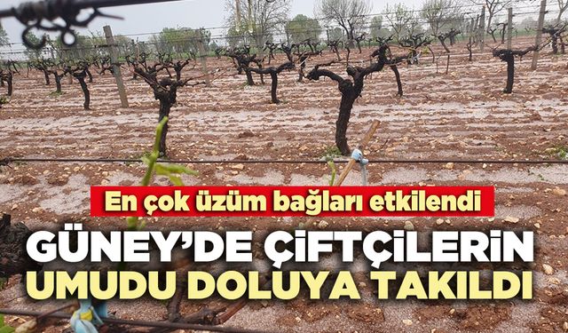 Güney’de çiftçilerin umudu doluya takıldı