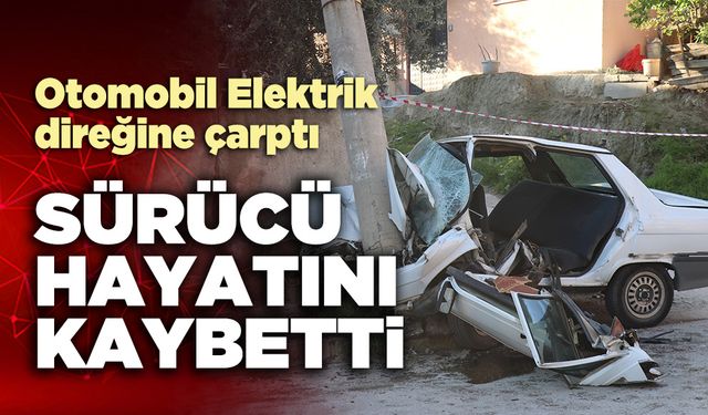 Otomobil Elektrik direğine çarptı,  sürücü hayatını kaybetti