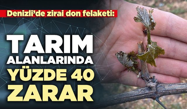 Denizli’de zirai don felaketi: Tarım alanlarında yüzde 40 zarar