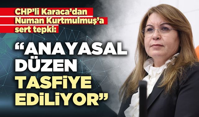 Gülizar Biçer Karaca: “Anayasal düzen tasfiye ediliyor”