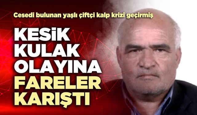 Kesik kulak olayına fareler karıştı